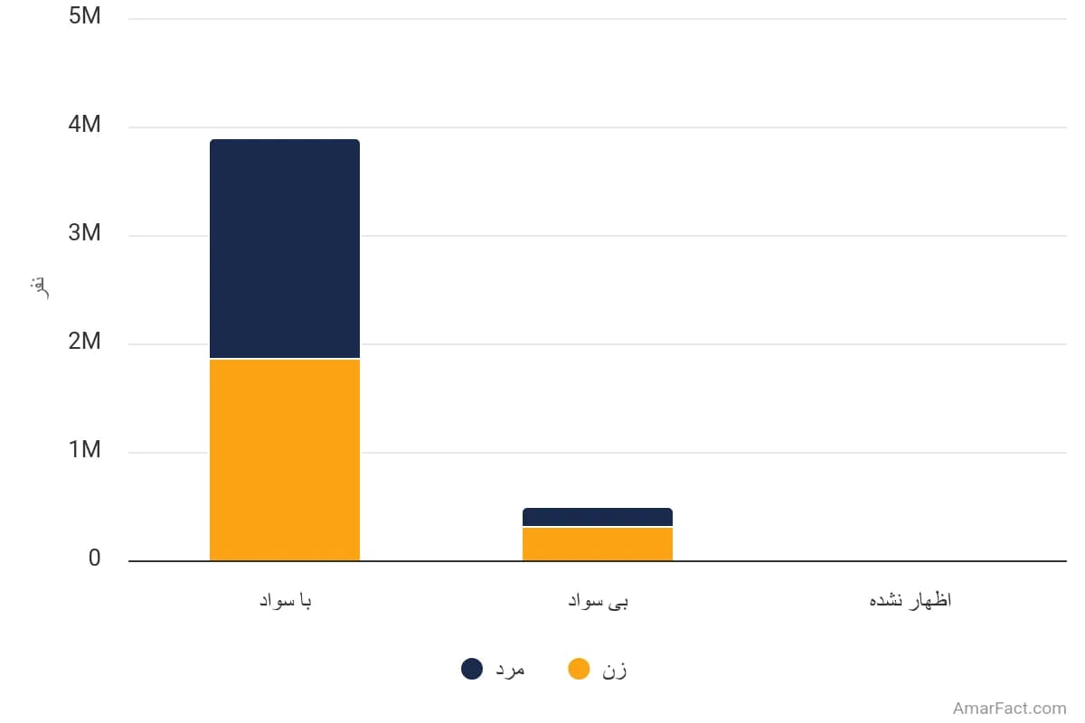 تصویر شاخص آمار آمار جمعیت 6 ساله و بیشتر استان فارس به تفکیک وضع سواد و جنسیت (سال 1395)