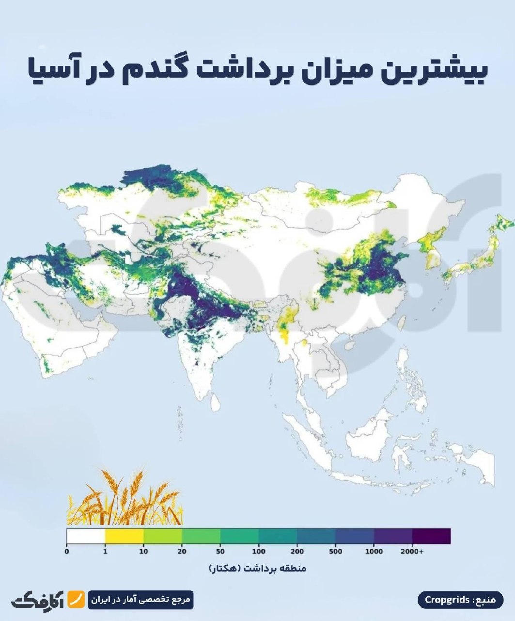 پراکندگی جغرافیایی کشت ۶ محصول کلیدی کشاورزی در آسیا
